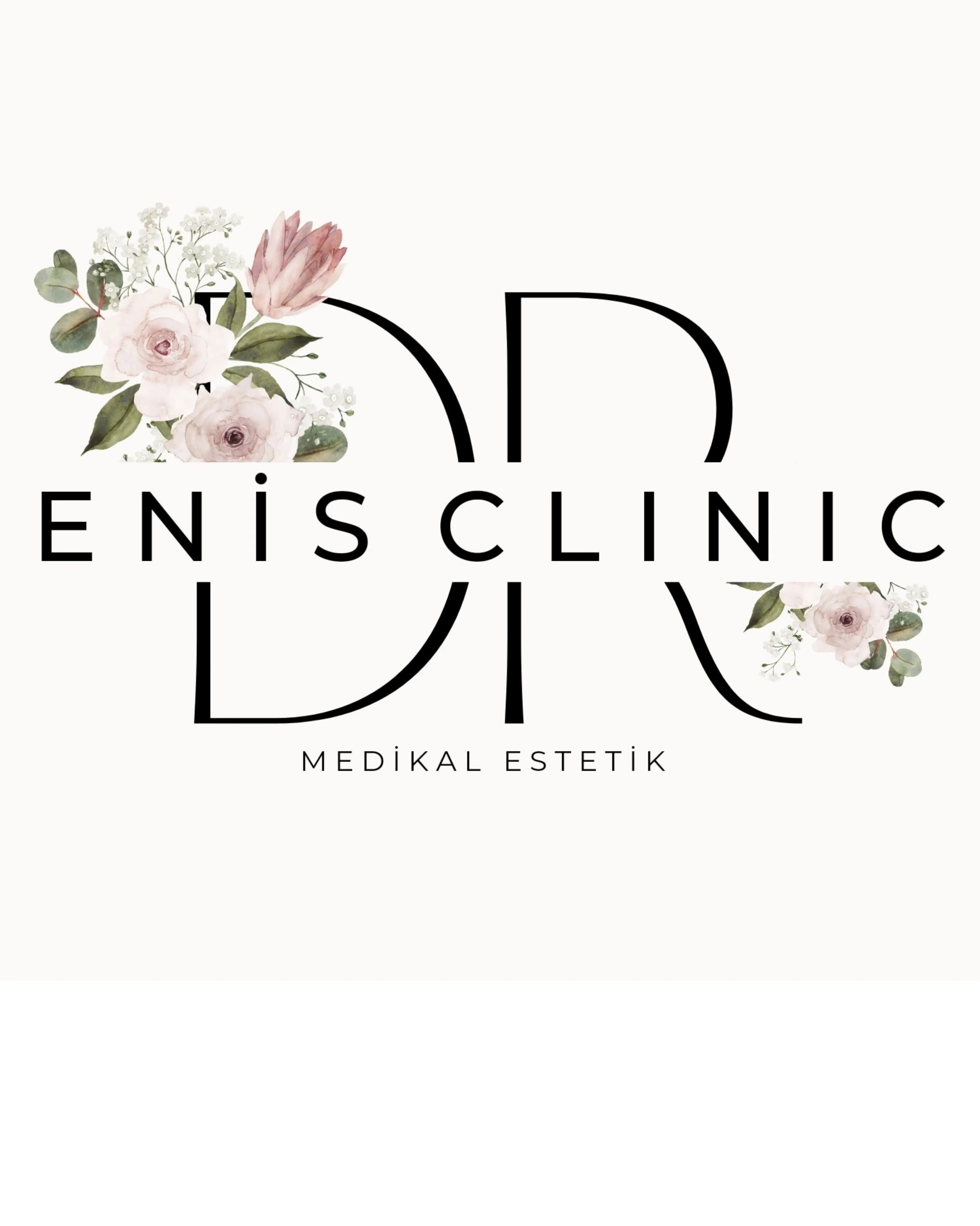 Enis Demir logo